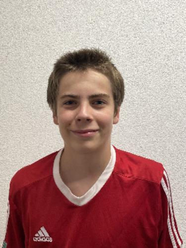 Henri Clemens Kreutz