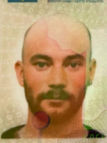 Jonathan Albert Nicolas Koch