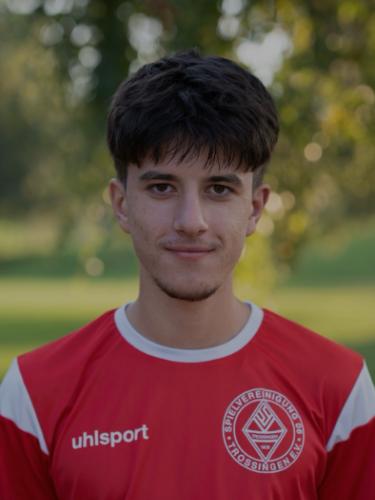 Davide Leonardo Rizzi