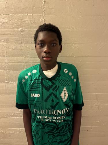 Cheikh Ahmed Ndiaye Diop