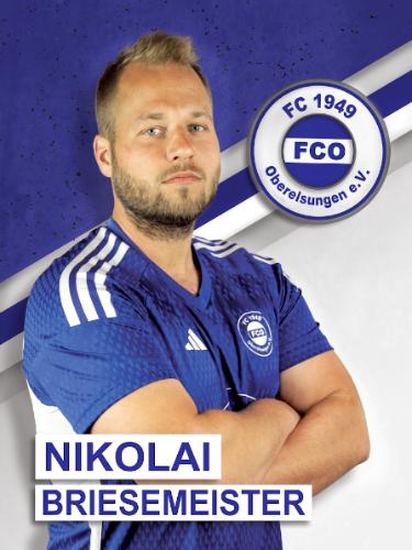 Nikolai Briesemeister