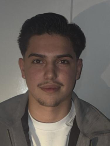 Marius-Gabriel Holea