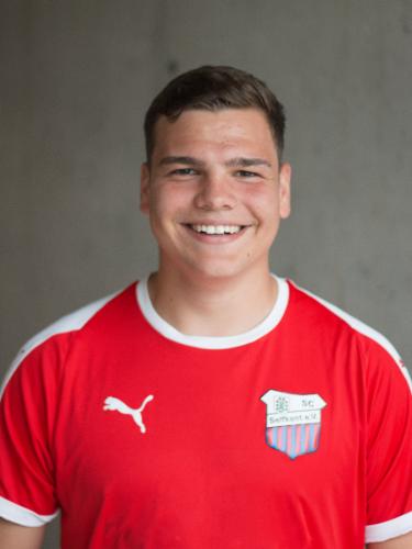 Henri Reiner Joseph Meuwissen