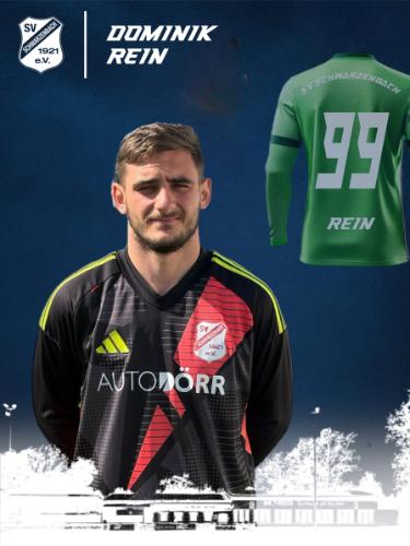 Dominik Rein