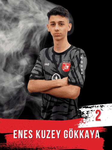 Enes-Kuzey Gökkaya