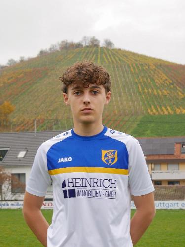 Mats Austel