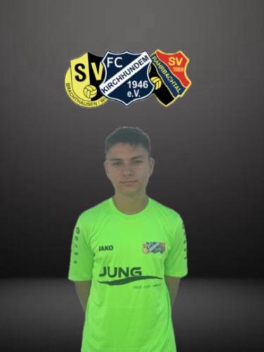 Giovanni Giuseppe Pellino