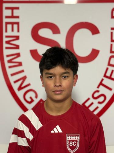 Tristan von Leesen