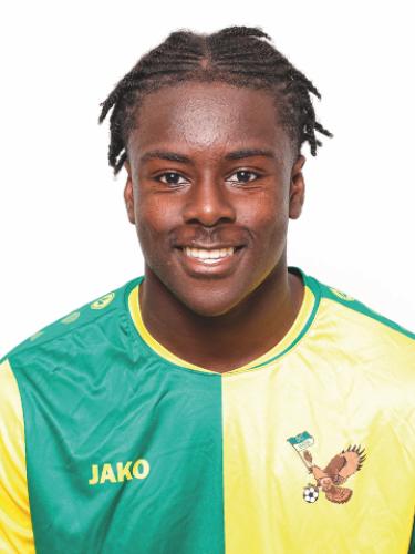 Joel Kwaku Mansoon
