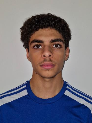 Ali Hamed