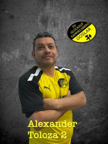 Alexander Veloza Toloza
