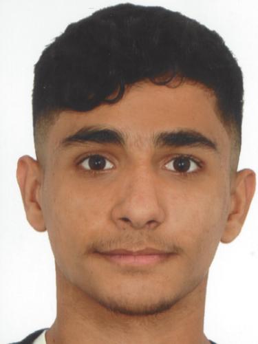 Mohanad M. S. Sari