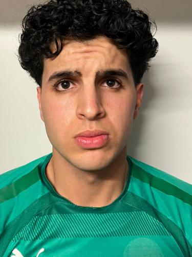 Ali Alcheikh Moussa