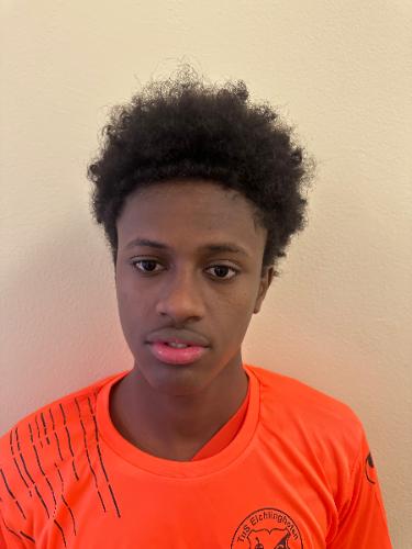 Mohamed Hassan Ahmed