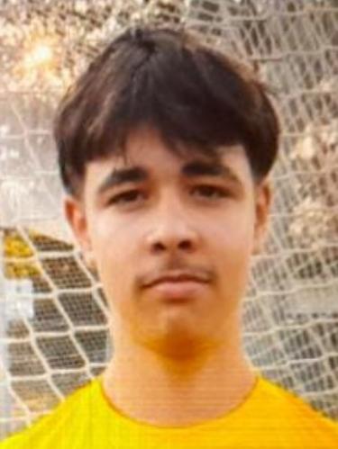 Afonso Fernandes Goncalves