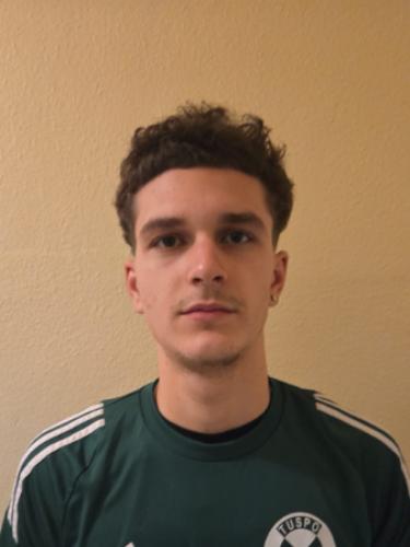 Cristian-Mihal Virlan