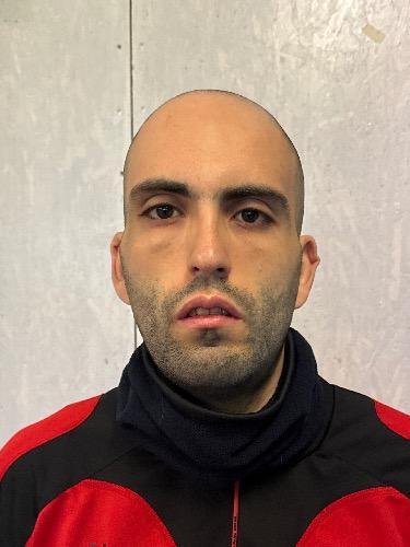 Rocco Lotito