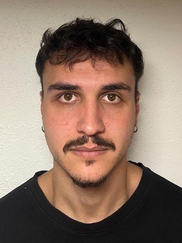 Ioannis Mihaelides