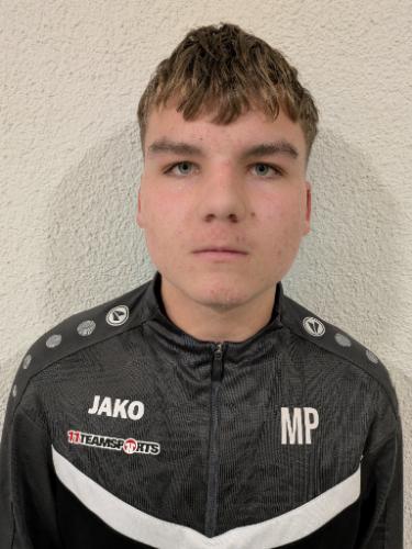 Matteo Petek