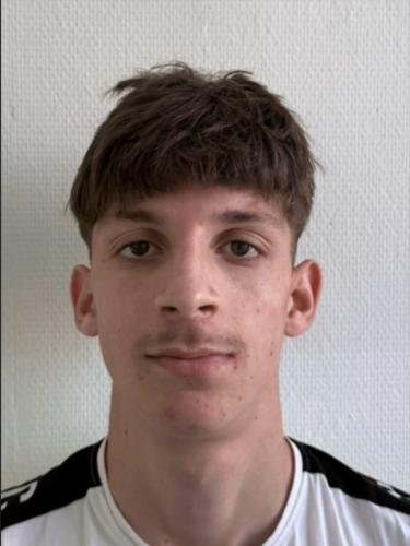 Danail Stoyanov