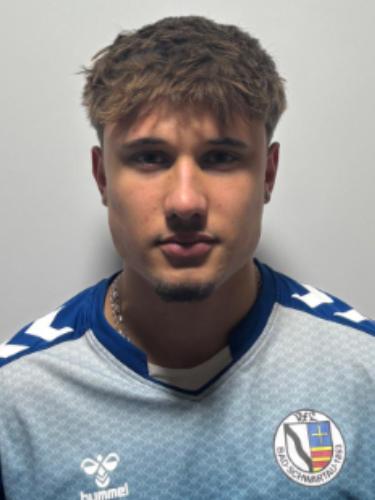 Justin Hölzel