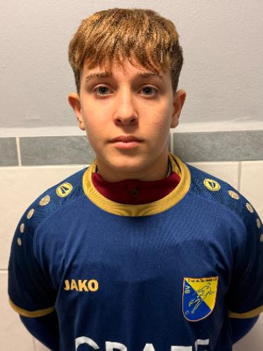 Jarno Stelte