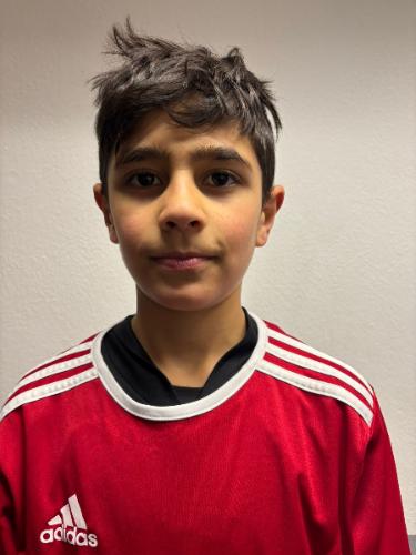 Serel Almajdal
