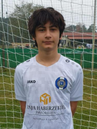 Parsa Alirezai