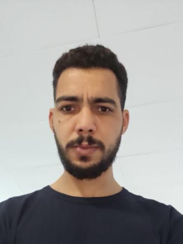 Ali Alhamis