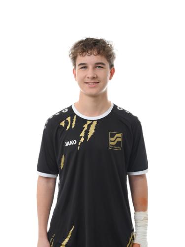 Danil Guber