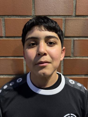 Mohamad Alshawakh