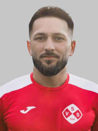 David-Petronel Solcanea
