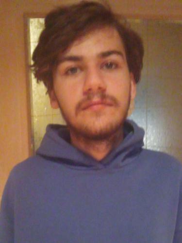 Niklas Neubert