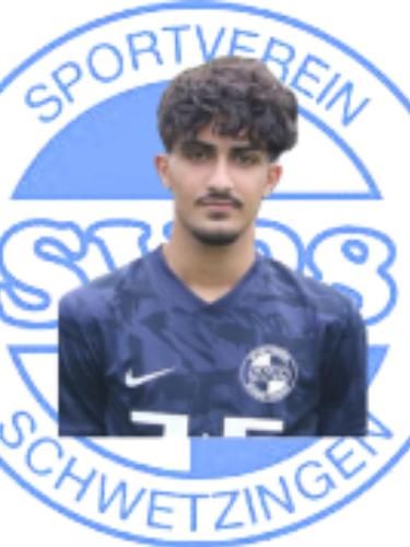 Mohammad Reza Amir Mohamad