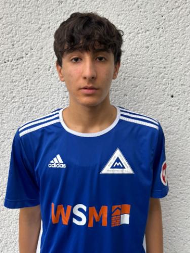 Hassan Suleiman