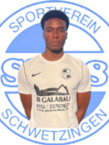 Desmond Ikenna Okoye Ogbebo