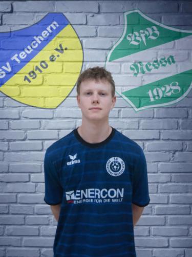 Fabian Heinrich