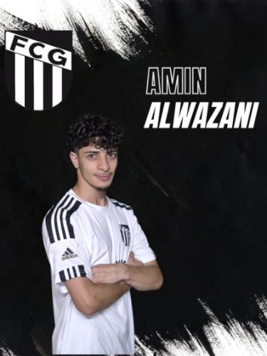 Amin Alwazani