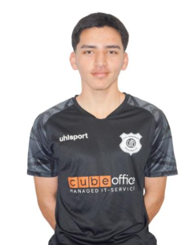 Mustafa Safdari