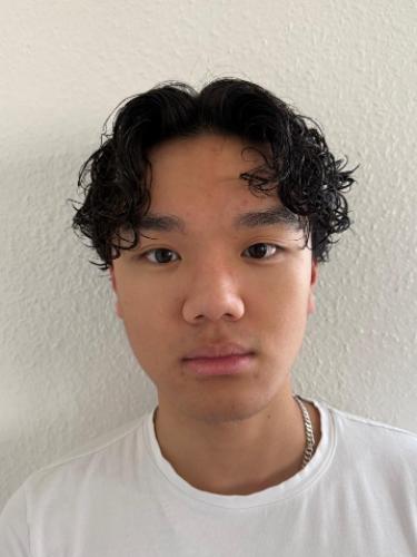 Pham Viet Anh Nguyen