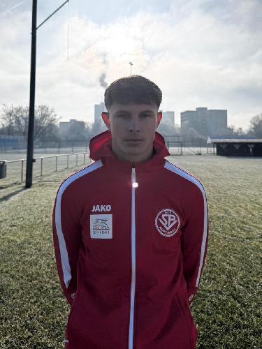 Felix Werner