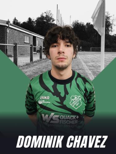 Dominik Jansen Chavez