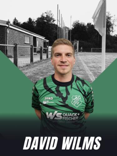 David Wilms