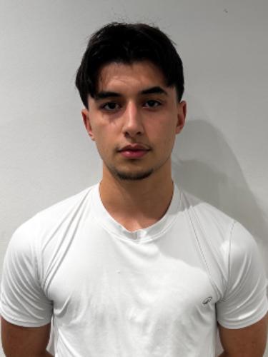 Naib Naziri