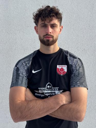 Amer Dedic