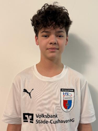 Milan Fotin