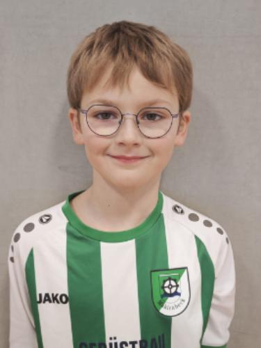 Fabio Emilian Heering