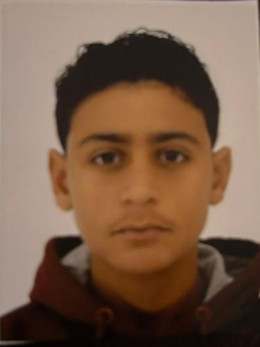 Yehya Ihab Mohamed