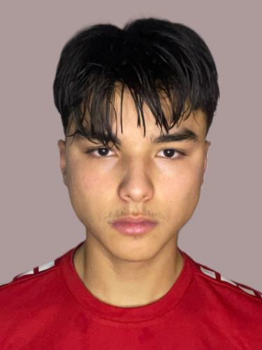 Amir Reza Jaqoubi