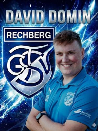 David Domin